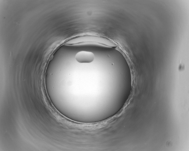 X0000093600001200710291154