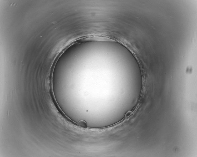 X0000093600002200710291154