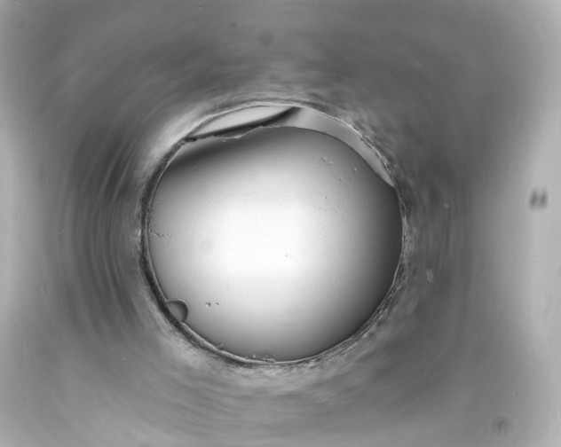 X0000093600005200710291154