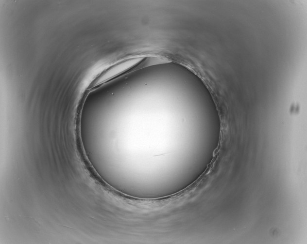 X0000093600006200710291154