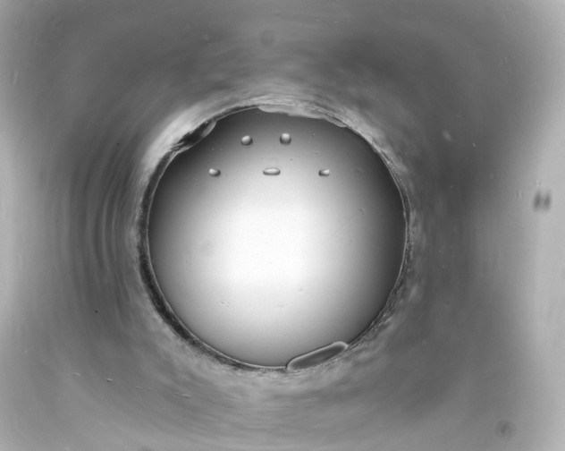 X0000093600007200710291154