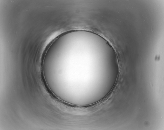 X0000093600008200710291154