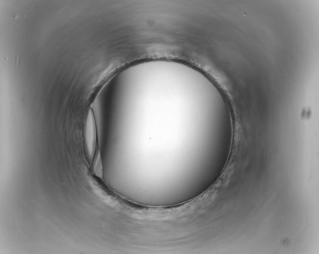 X0000093600009200710291154