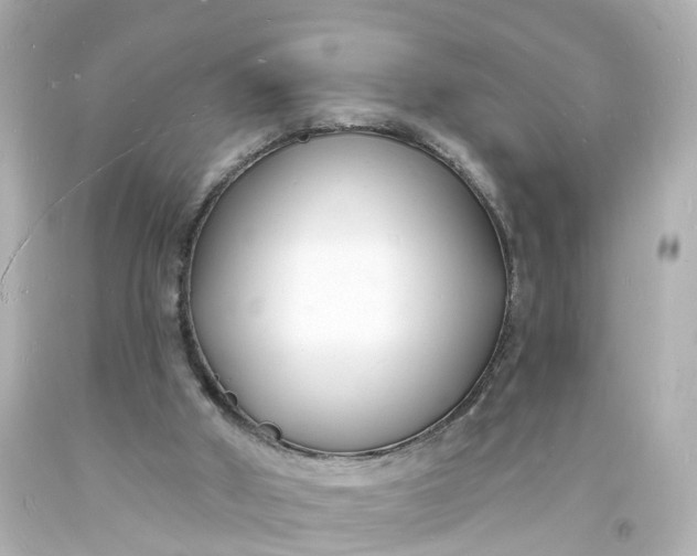 X0000093600010200710291154