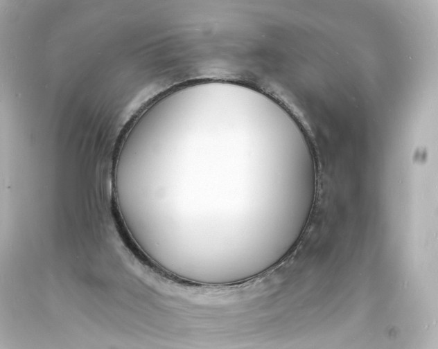 X0000093600011200710291154