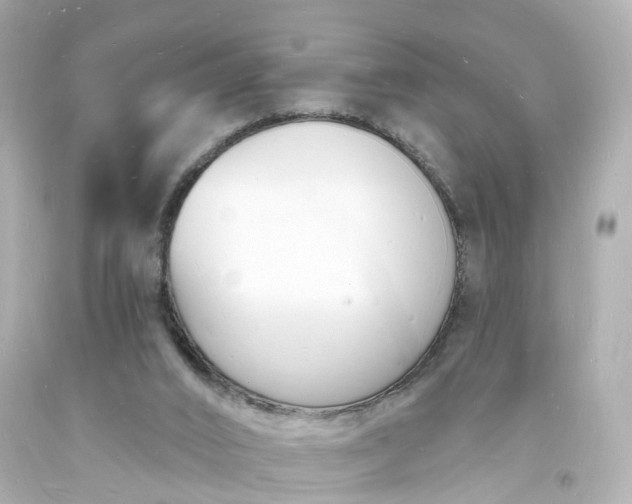 X0000093600016200710291153