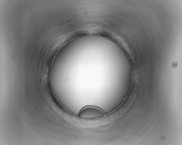 X0000093600018200710291153