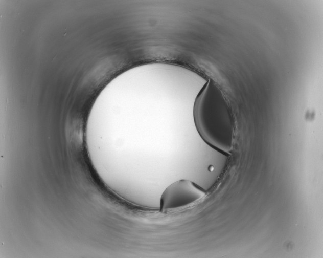 X0000093600021200710291153