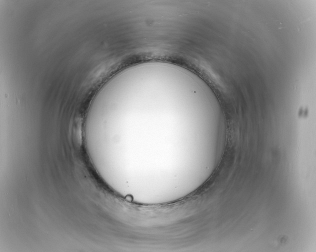 X0000093600022200710291153