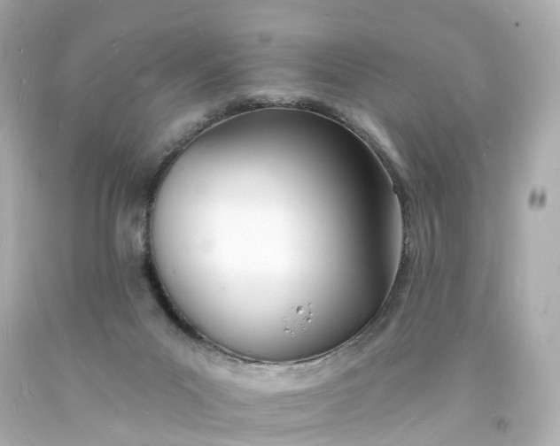 X0000093600023200710291153