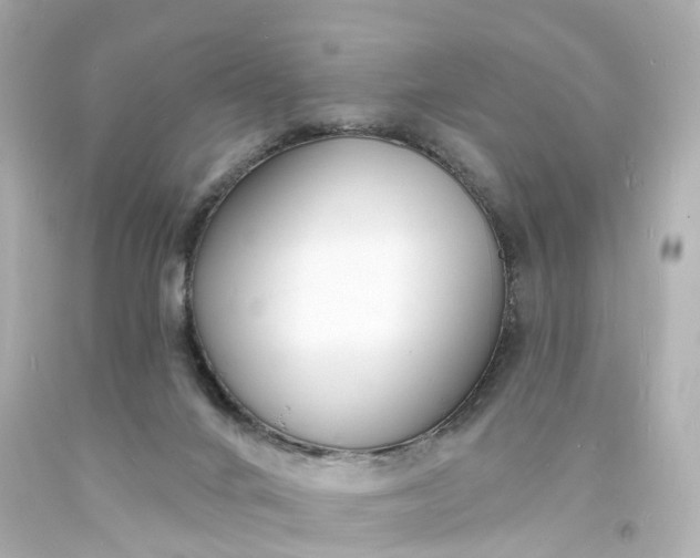 X0000093600024200710291153