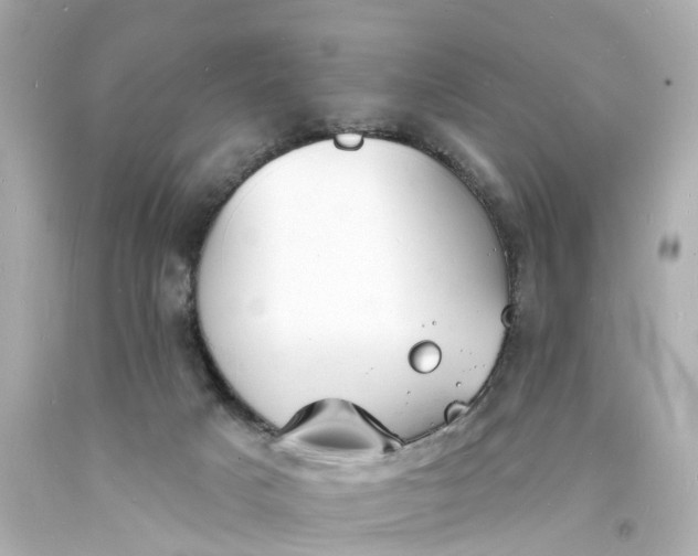 X0000093600025200710291153