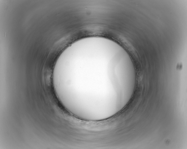 X0000093600026200710291153