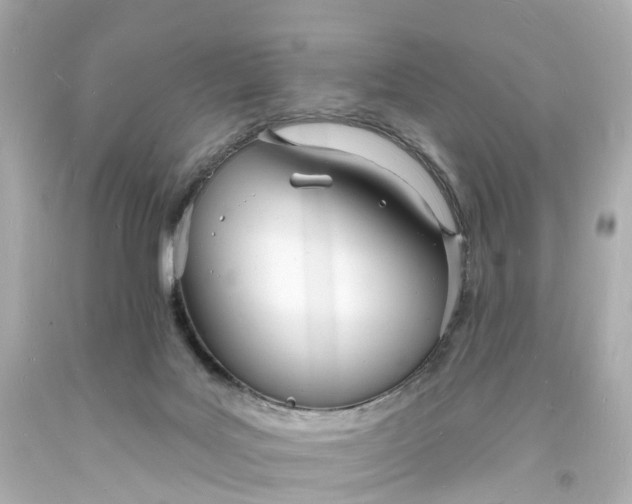 X0000093600027200710291153