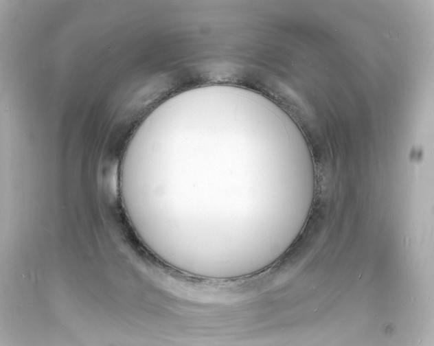 X0000093600028200710291153