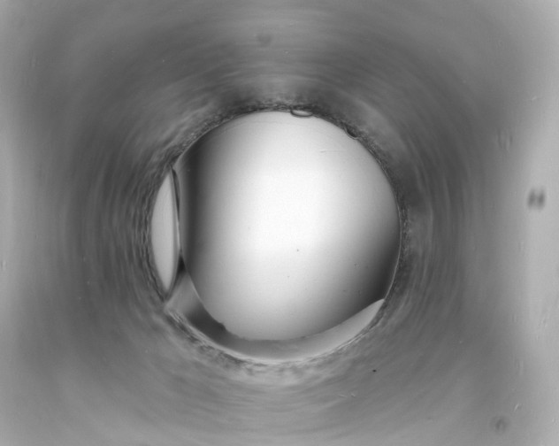 X0000093600029200710291153