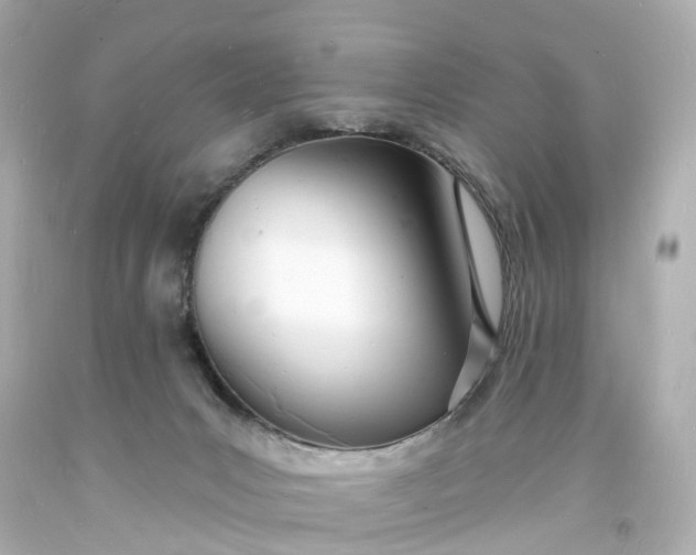 X0000093600031200710291153