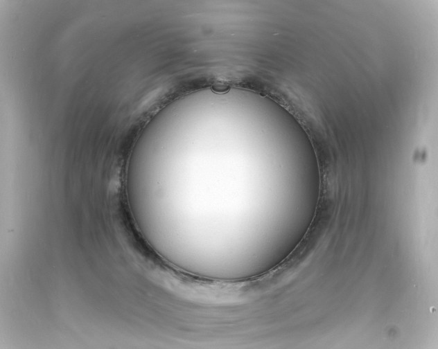 X0000093600032200710291153