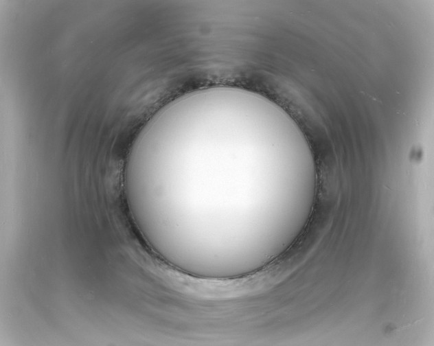 X0000093600034200710291153