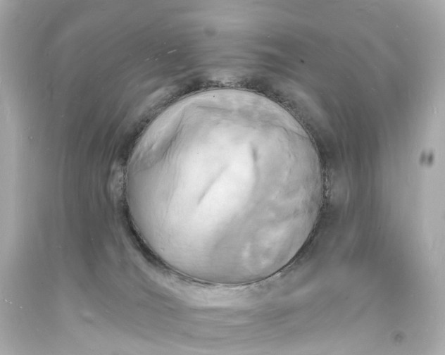 X0000093600036200710291153