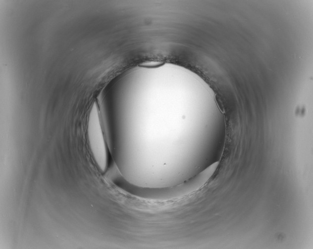 X0000093600037200710291153