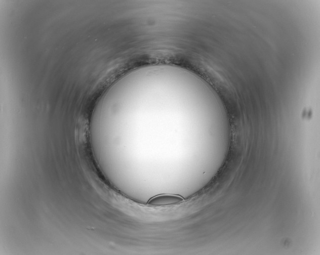 X0000093600038200710291153