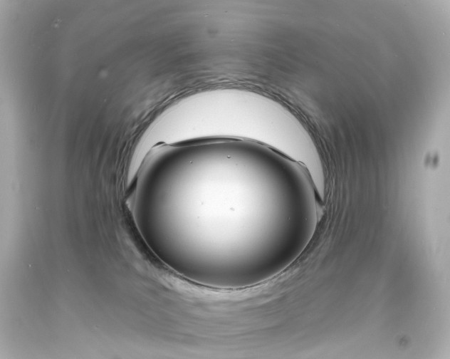 X0000093600039200710291153