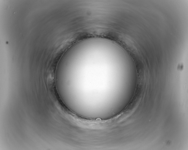 X0000093600040200710291153