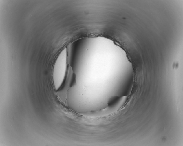 X0000093600041200710291153