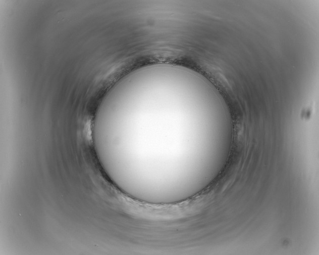 X0000093600042200710291153