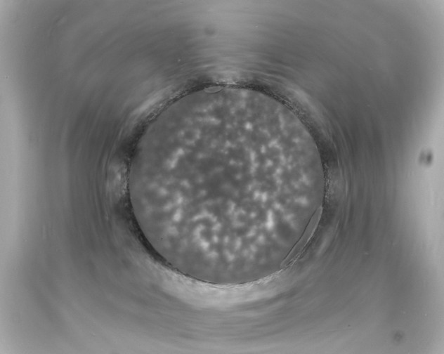 X0000093600043200710291153