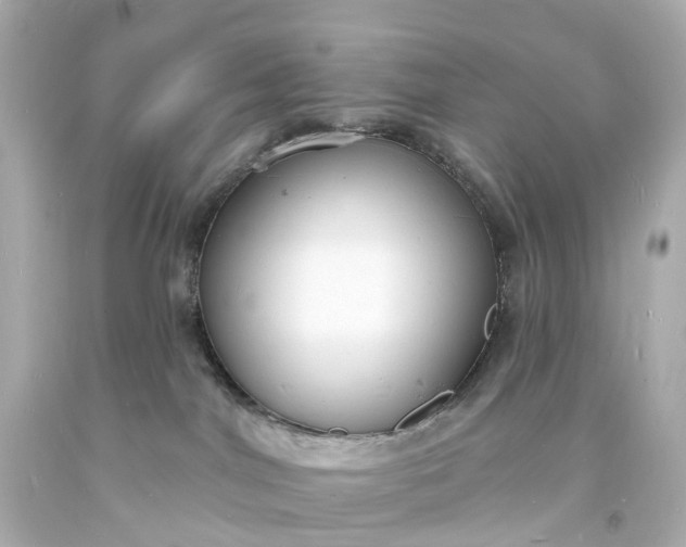 X0000093600044200710291153