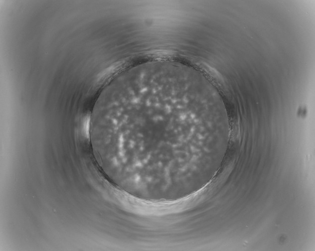 X0000093600047200710291153