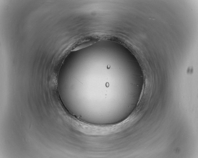 X0000093600048200710291153