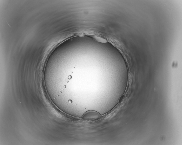 X0000093600049200710291152