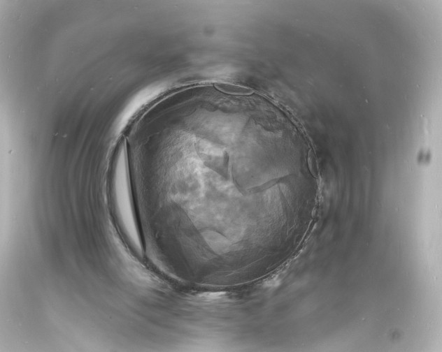 X0000093600054200710291152