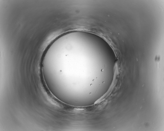 X0000093600055200710291153