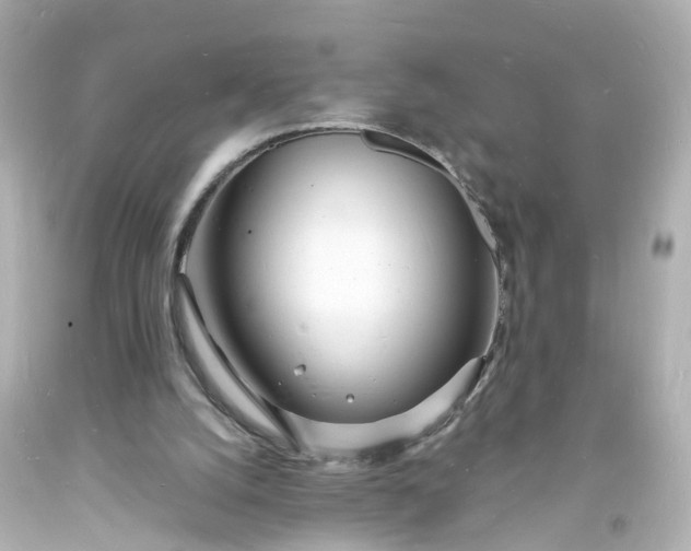 X0000093600056200710291153