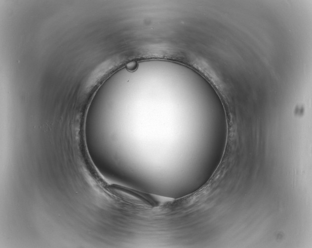 X0000093600058200710291153