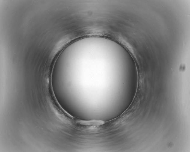 X0000093600059200710291153