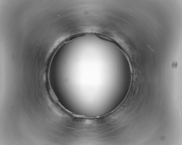 X0000093600060200710291153