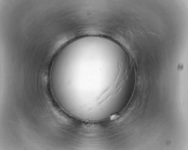 X0000093600063200710291153