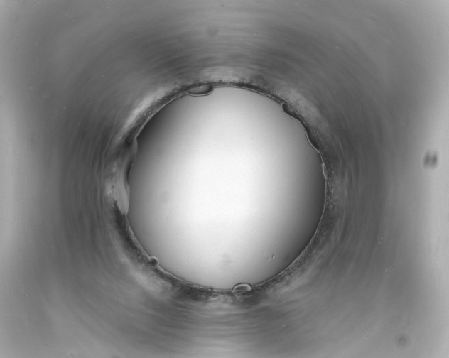 X0000093600064200710291153