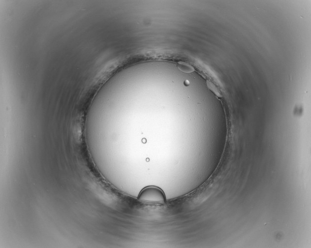 X0000093600065200710291153