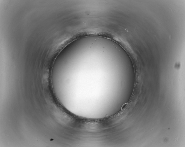 X0000093600066200710291153