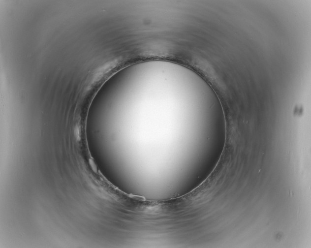 X0000093600068200710291153