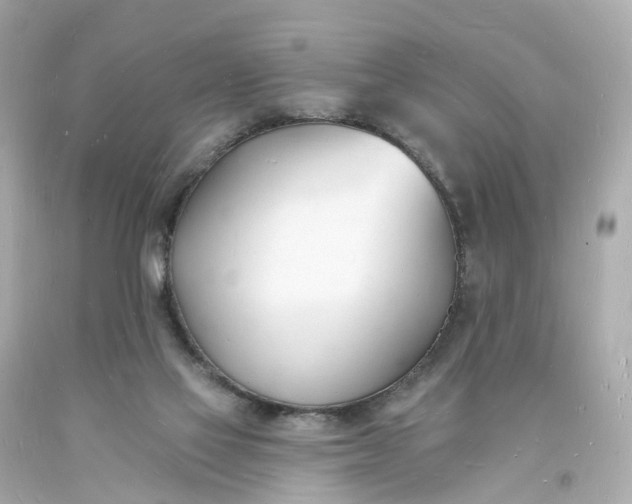 X0000093600069200710291153