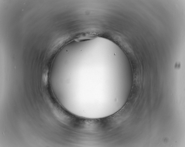 X0000093600070200710291153