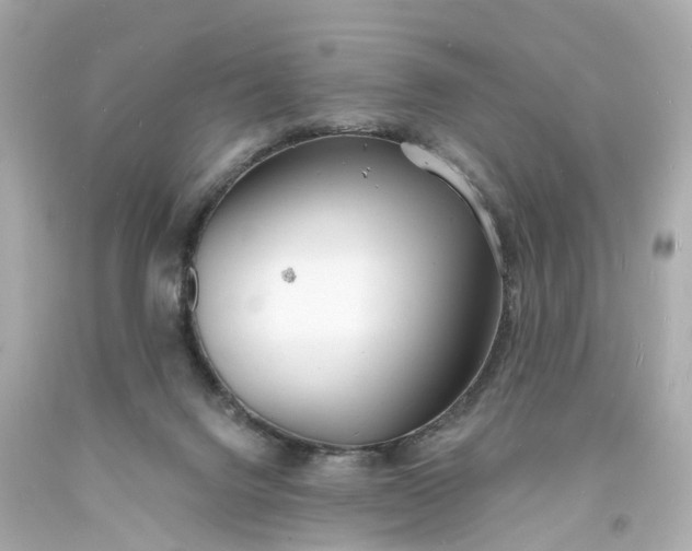 X0000093600072200710291153