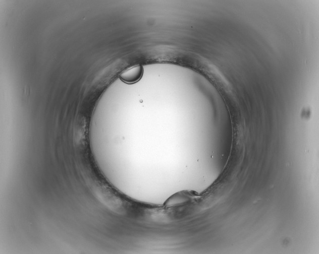 X0000093600073200710291153